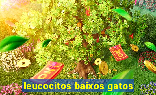 leucocitos baixos gatos